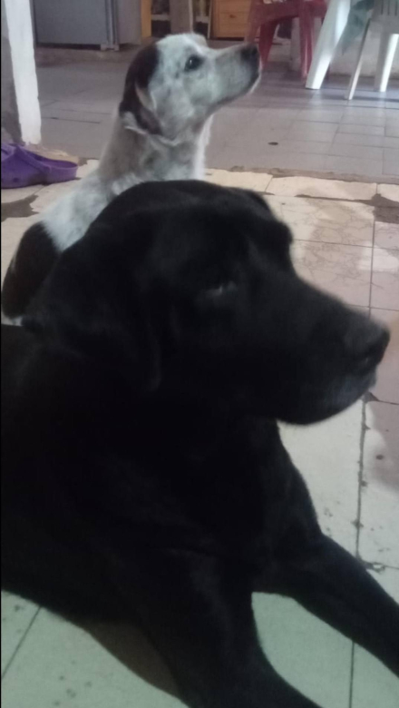 Toy y Wendy.jpg copy
