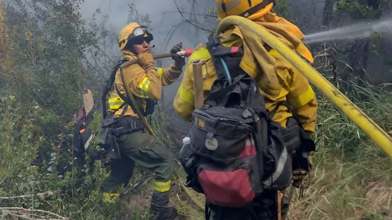 "El incendio en el Parque Nacional Nahuel Huapi está fuera de control"