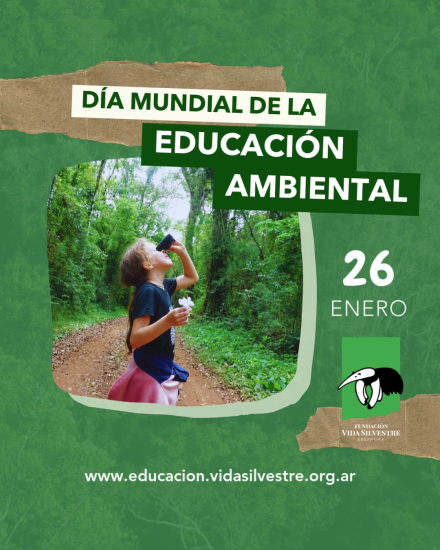 dia educacion ambiental.png
