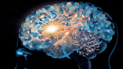 Los nervios, el páncreas y los riñones tienen recuerdos, como las neuronas