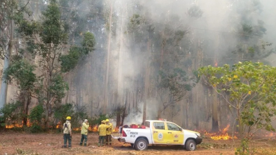Logran controlar los mayores frentes de fuego en Corrientes