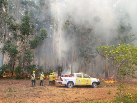 incendios corrientes.jpg