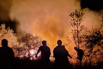 incendios-en-corrientes.jpg