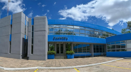 camesa.jpg