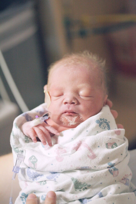 bebes prem 03.jpg