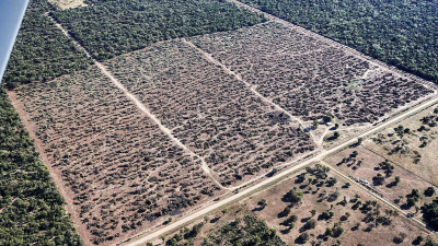 "Algo habremos hecho mal, no podemos echarle toda la culpa a la naturaleza"