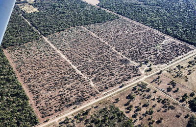 "Algo habremos hecho mal, no podemos echarle toda la culpa a la naturaleza"