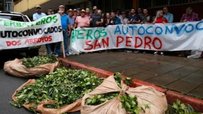 Productores piden la creación de un Instituto Provincial de la Yerba Mate