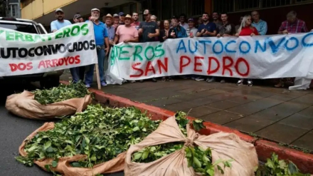 productores-yerbateros.jpg
