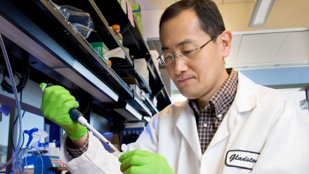 Shinya Yamanaka.jpg