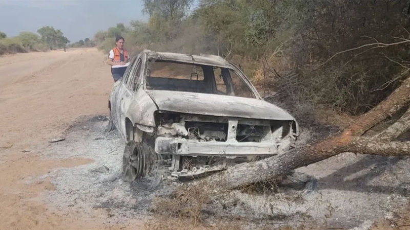 Iba al cementerio, lo picaron las abejas, chocó contra un árbol y murió carbonizado