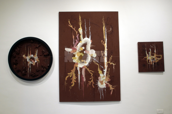 Obras del artista Andrés Paredes. Foto Miguel Romero.