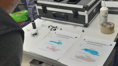 Detienen a una joven que intentó ingresar droga para un detenido