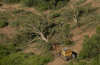 Fechaco alerta sobre 800 familias que están en peligro por la paralización de la forestal