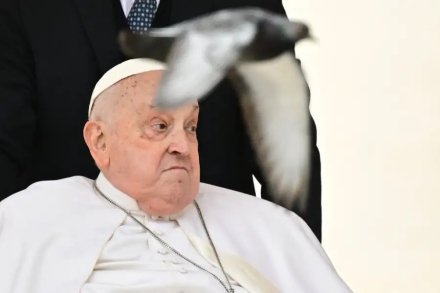 papa.jpg