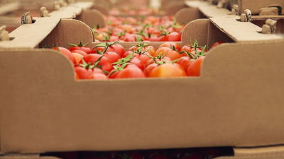 Los alimentos importados no bajan los precios, más bien los suben