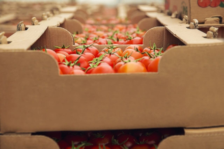 alimentos importados.jpg