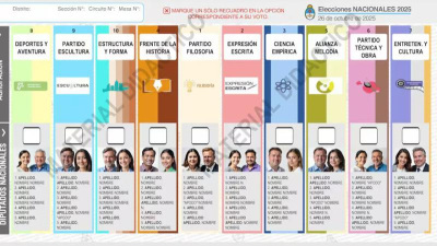 La Justicia aprobó el modelo de boleta única para votar en octubre
