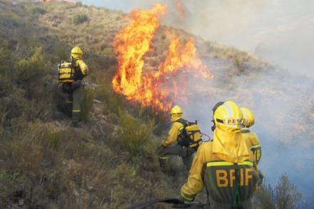 incendios foreestales01.jpg