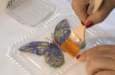 Mariposas símil cristal