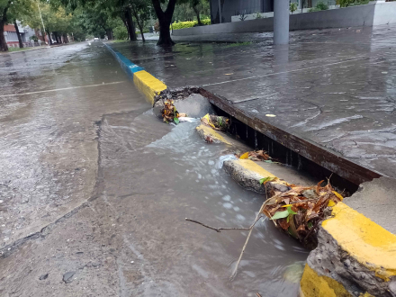 LLUVIA 1.JPG