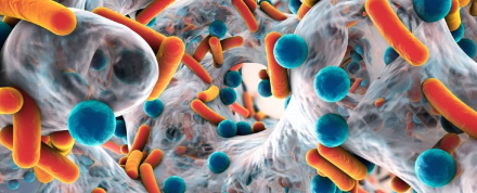 Superbacterias.jpg