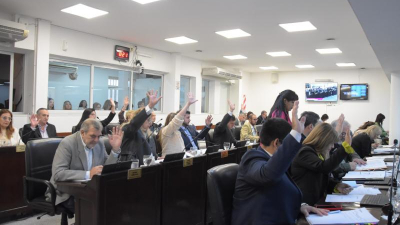 Avanza el debate de los proyectos de "Ficha limpia" en la Legislatura