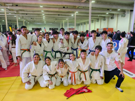 judo 10.jpeg