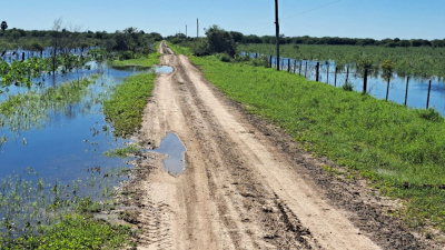 ¿Qué haremos con el agua?