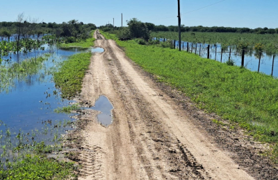 ¿Qué haremos con el agua?