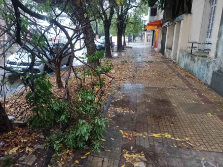 CLIMA16.JPG