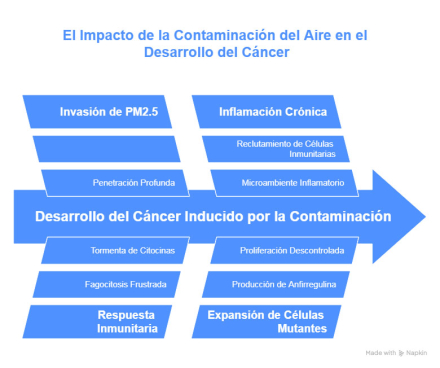 contaminacion-atm4.jpg