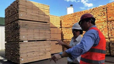 Al sector forestal le preocupa "la presión" que recibe la Justicia Federal