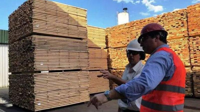 Al sector forestal le preocupa "la presión" que recibe la Justicia Federal