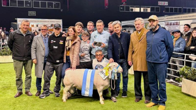 Cordero chaqueño campeón en Palermo