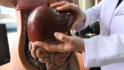 Día Mundial contra la Hepatitis: conocerla para combatirla