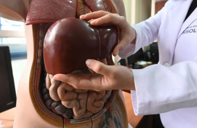 Día Mundial contra la Hepatitis: conocerla para combatirla