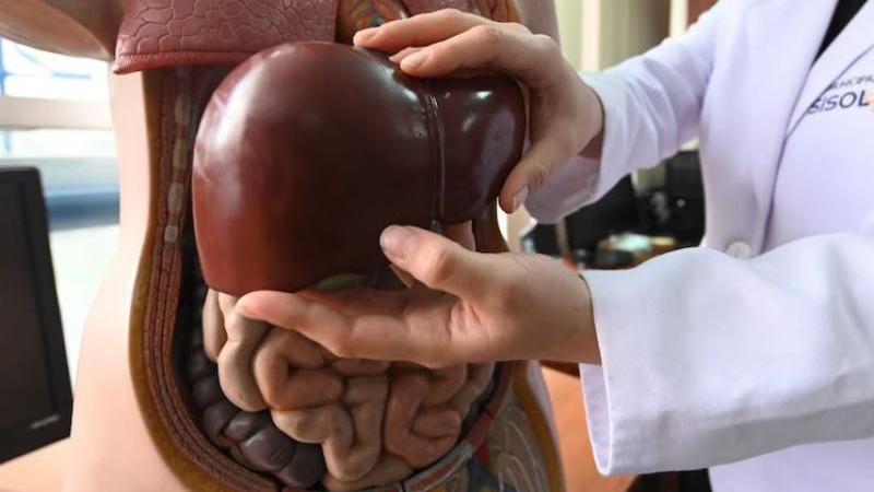 Día Mundial contra la Hepatitis: conocerla para combatirla