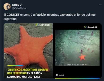 Conicet-MdQ-Canyon15.jpg