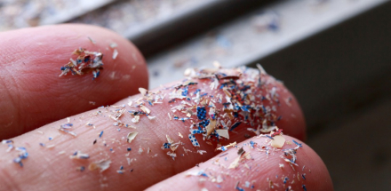 microplast.jpg