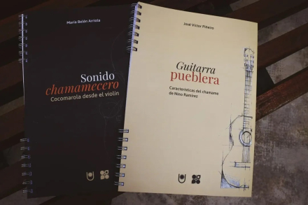 guitarra y vio.jpg