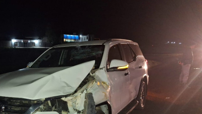 Peligro en la ruta: secuestraron tres caballos sueltos tras un siniestro con una camioneta en la 16