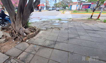 vereda.jpg