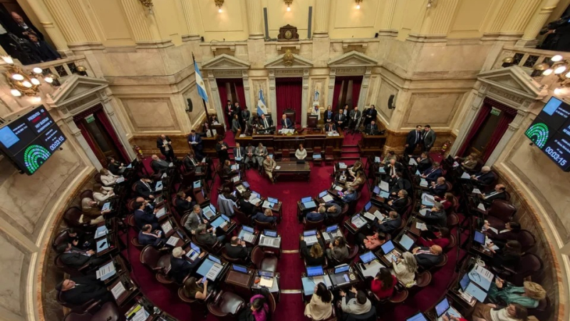 La oposición dejó sin efecto el veto de Milei y reactivó la ley de emergencia en discapacidad