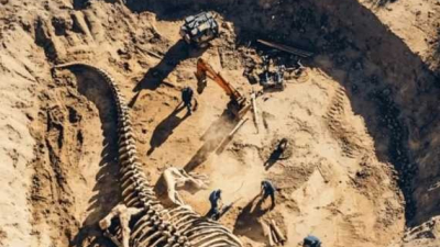 El CONICET anuncia nueva transmisión para explorar un yacimiento de dinosaurios en Río Negro