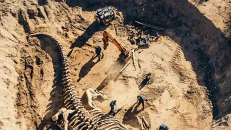 El CONICET anuncia nueva transmisión para explorar un yacimiento de dinosaurios en Río Negro
