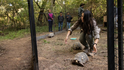 La bióloga que vive en el monte chaqueño abocada a la reintroducción de especies