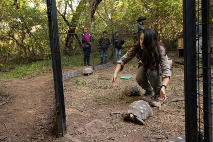 Bióloga-Debi con tortugas Yabotí-PNEI.jpg