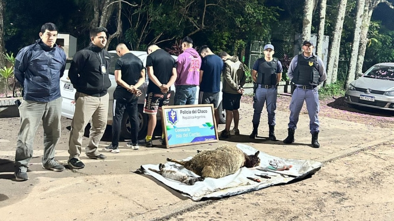 Detuvieron a cinco militares con dos ovejas faenadas en el baúl