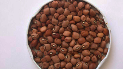 Técnica natural con hongos "protectores" podría impulsar el cultivo de alimento completo poco conocido